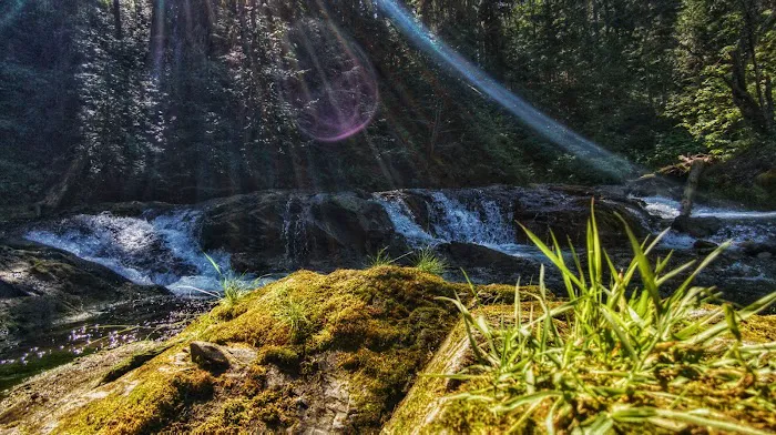 Mount Fernie Provincial Campground 5