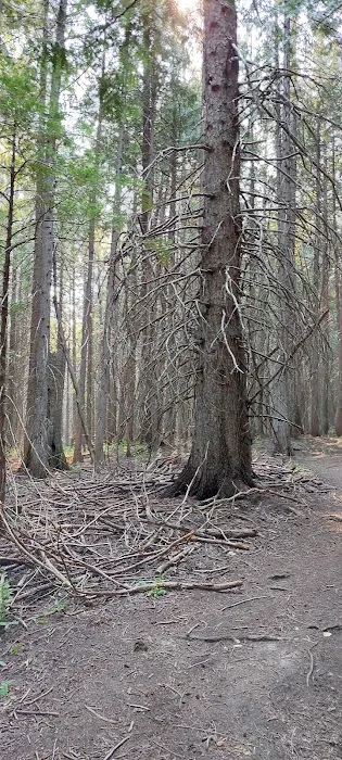Mount Fernie Provincial Campground 8