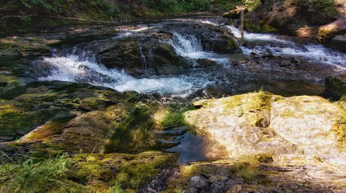 Mount Fernie Provincial Campground 7