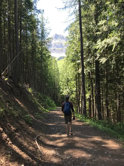 Mount Fernie Provincial Campground 9