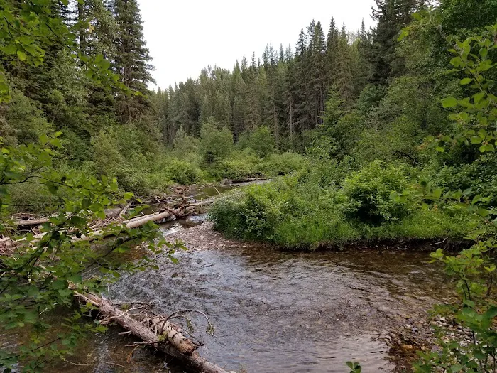 Mount Fernie Provincial Campground 2