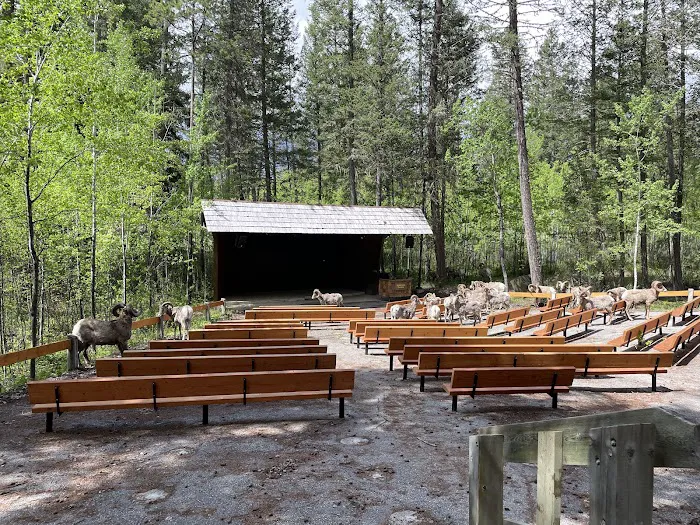 Redstreak Campground 3