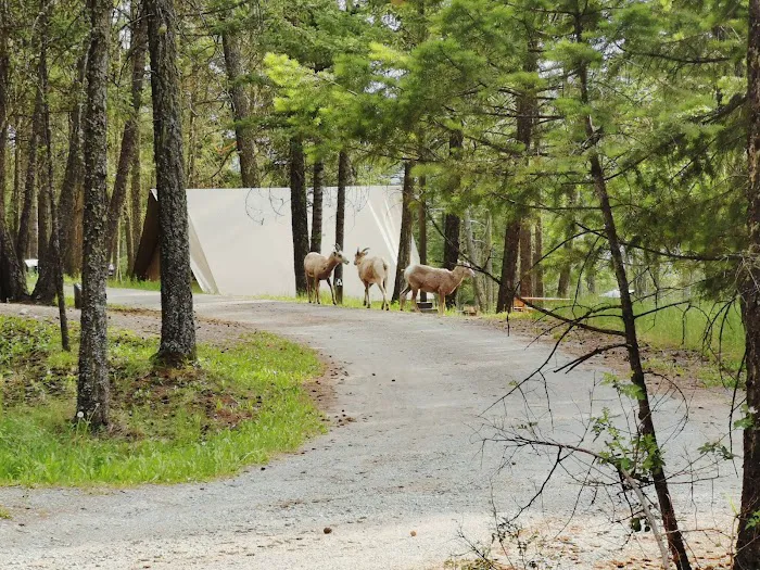 Redstreak Campground 2
