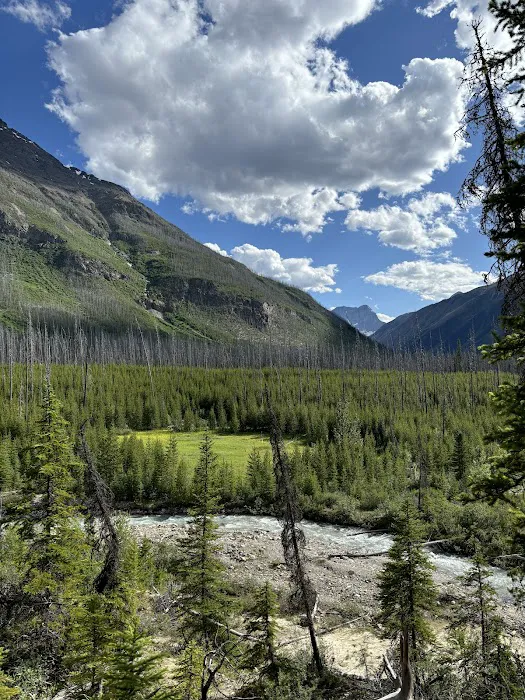Marble Canyon Campground 8