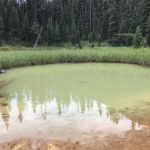 Marble Canyon Campground