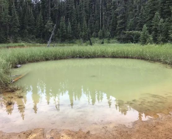 Marble Canyon Campground