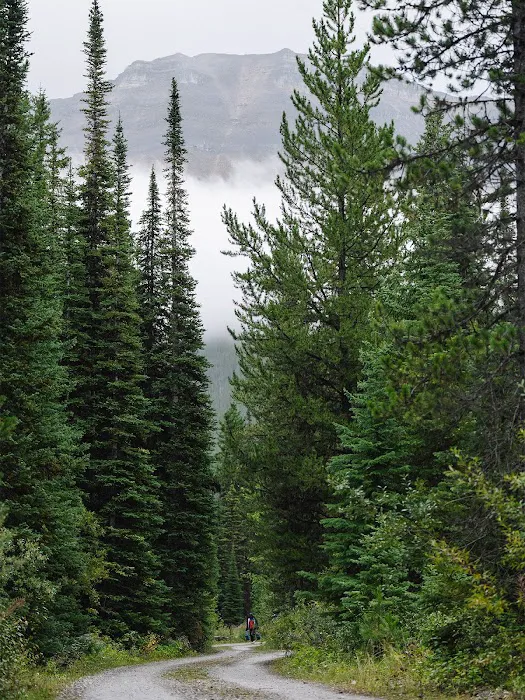 Marble Canyon Campground 2
