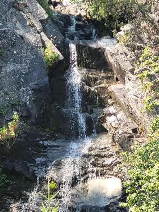 Conkle Lake Campground 4