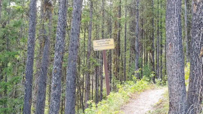 Conkle Lake Campground 8