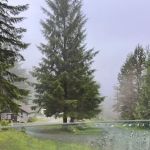 Broughton strait campground