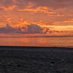 Skinner Creek Campsite