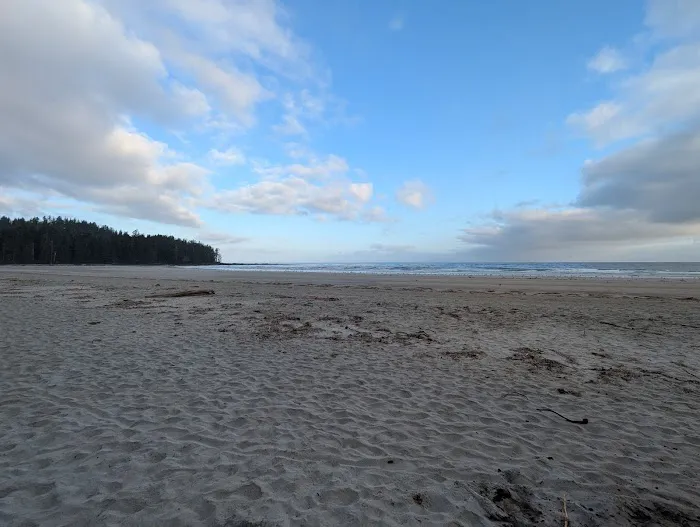 Nels Bight Campsite 1
