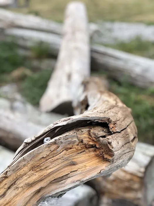 Birch Bay Park 1