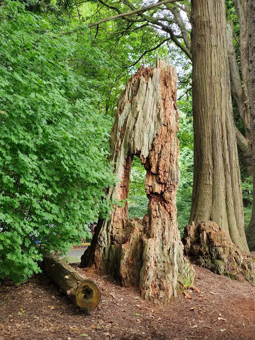 Birch Bay Park 4
