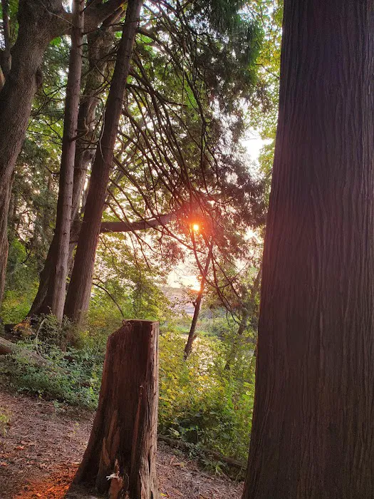 Birch Bay Park 6