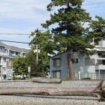 Beachcomber RV Park at Birch Bay