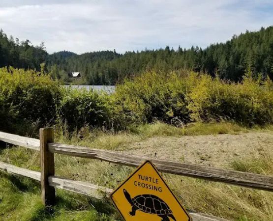 Katherine Lake Park and Campground