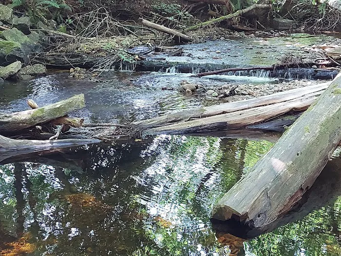 Creekside Campground 3