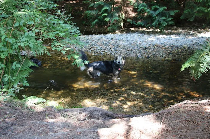 Creekside Campground 0