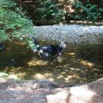 Creekside Campground