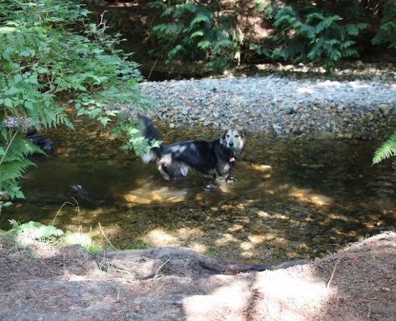 Creekside Campground