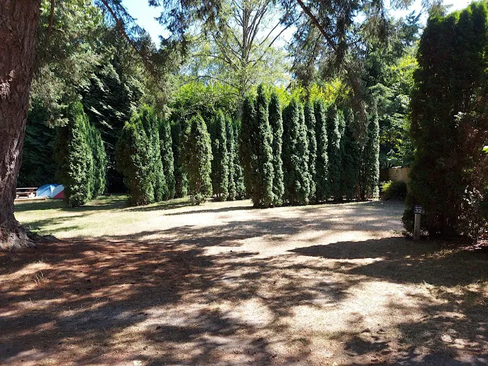 Creekside Campground 9