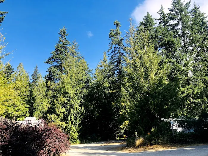 Bayside Campground & RV Park 9