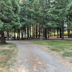 Shady Firs RV & Campsite
