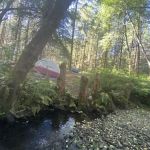 Tunerville Campground