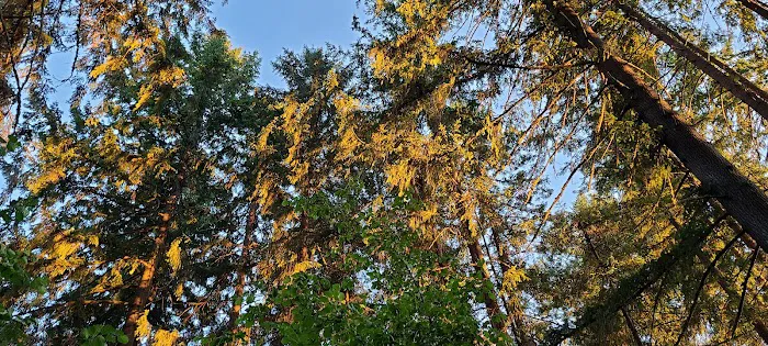 Big Fir Campground & RV Park 0