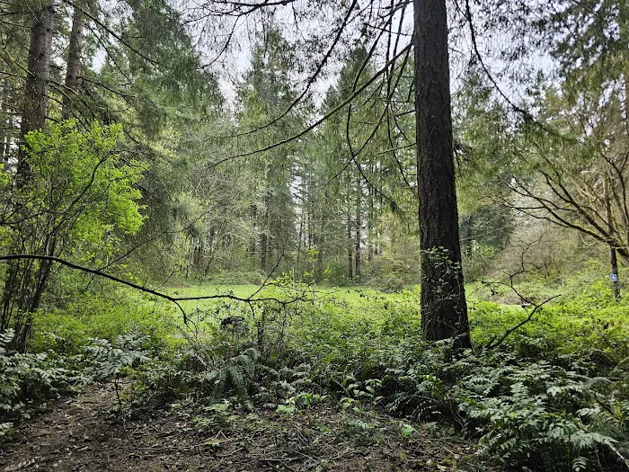 Big Fir Campground & RV Park 7