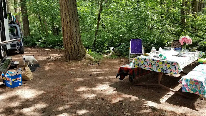 Big Fir Campground & RV Park 6