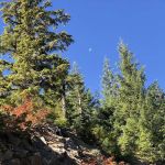 Campground: Cat Creek