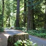 La Wis Wis Campground