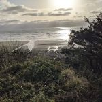 Pacific Beach Resort & Conference Center