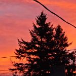 Aloha RV Park & Campsite