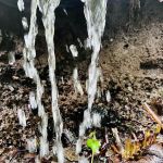 Honeymoon Bay Group Camp Site