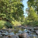 Thousand Trails Cultus Lake