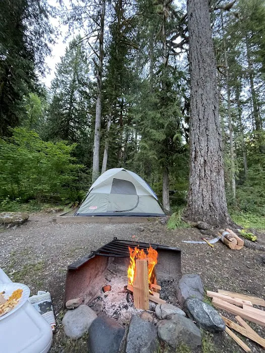 Douglas Fir Campground 6