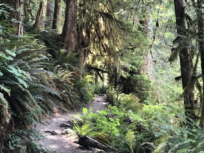 Douglas Fir Campground 3