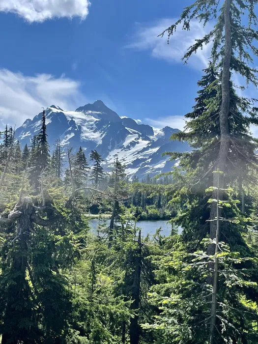 Douglas Fir Campground 2