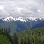 Silver Fir Campground