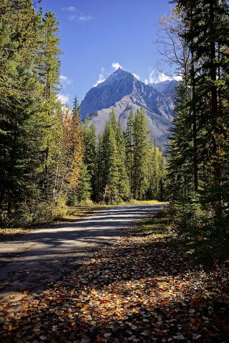Hoodoo Creek Campground 8