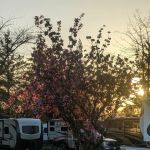 Elma RV Park