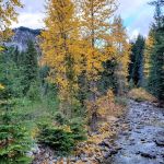 Rock Creek Campground