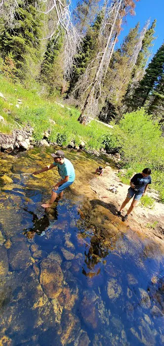 Upper Stony Creek Campground 0