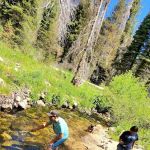 Upper Stony Creek Campground