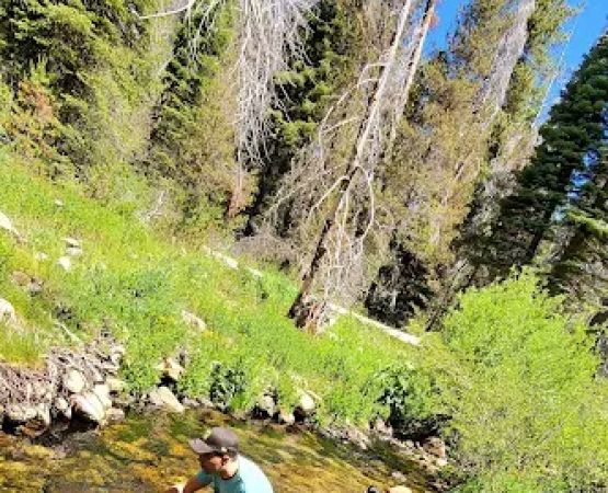 Upper Stony Creek Campground