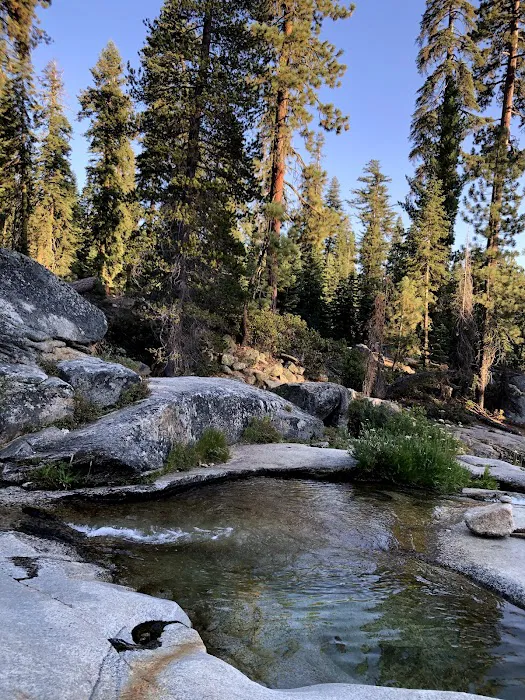 Upper Stony Creek Campground 3