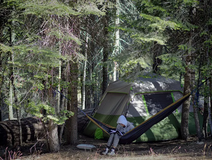 Upper Stony Creek Campground 9